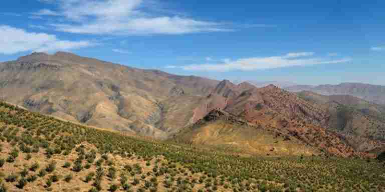 La Grande Muraglia Verde in Sahel: un’iniziativa contro la desertificazione e le minacce del cambiamento climatico